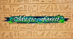 Magic Forest
